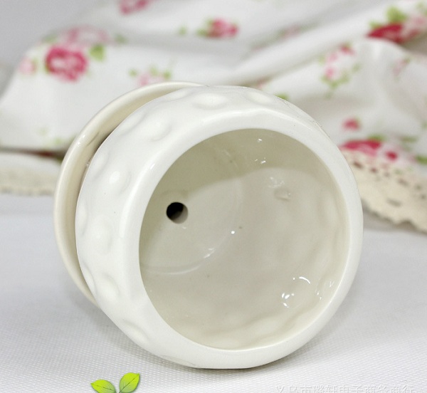 chậu sứ cắm hoa